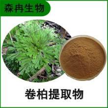 森冉生物 卷柏提取物 回陽草提取物 植物提取原料粉