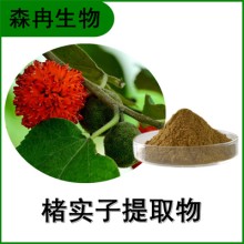 森冉生物 楮實子提取物 谷桑提取物 植物提取原料粉