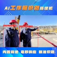 博瓦科技 AI智能識別未穿工作服攝像機 工作服穿戴監(jiān)測識別攝像頭