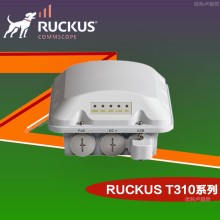 RUCKUS無線AP優(yōu)科t310系列室外接入點(diǎn)Ruckus T310戶外