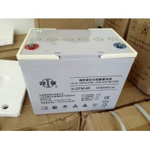 湖南雙登蓄電池UPS蓄電池12V-65AH鉛