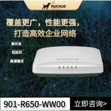 RUCKUS優(yōu)科r650教室和零售場(chǎng)所專用wifi6路由器Ruckus 