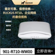 安徽優(yōu)科無線代理Ruckus R710企業(yè)級路由器901-R710-WW