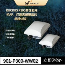 優(yōu)科Ruckus P300 點(diǎn)對(duì)點(diǎn)/點(diǎn)對(duì)多點(diǎn)網(wǎng)橋優(yōu)科P300無(wú)線網(wǎng)