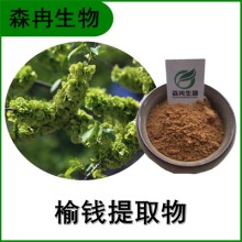 森冉生物 榆錢(qián)提取物 榆實(shí)提取物 植